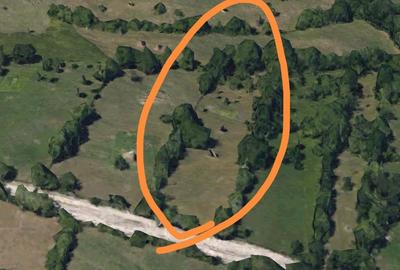 Teren de 5000 mp, în Secăria - 2