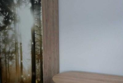 Apartament cu 2 camere decomandat în Exterior Vest - 2