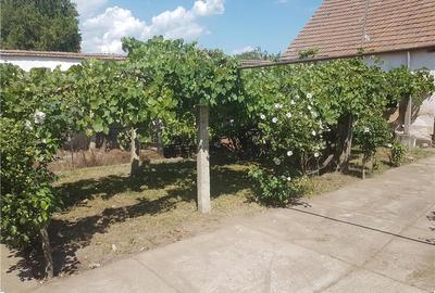 Casă cu 3 camere în Șibot - 5