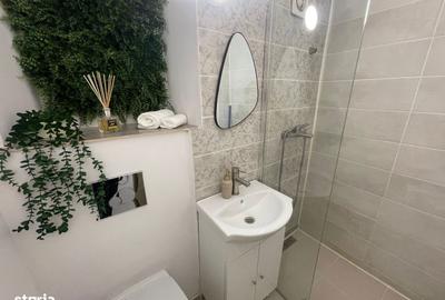 Garsonieră semidecomandată în Craiovița Nouă - 2