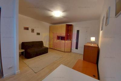 Garsoniera Iancului- Elev Stefan Stefanescu. - 8