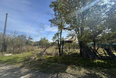 Teren 5216 mp la drum principal com. Ratesti - 6