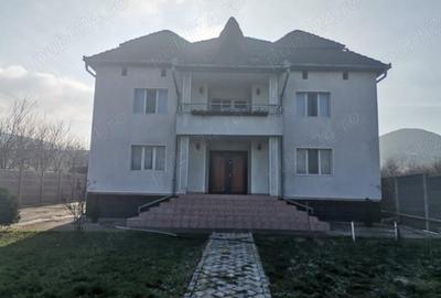 Casă cu 6 camere cu Teren 3000 Mp în Mintia - 4