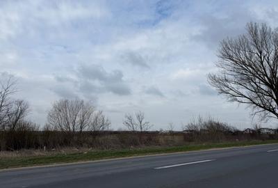 Spațiu comercial, în Crevedia - 1