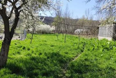 Casă cu Teren 1800 Mp în Central - 6