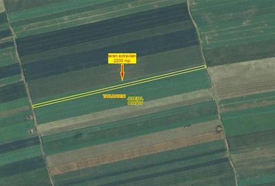 Teren agricol extravilan de 2200 mp, în Tărlungeni - 3