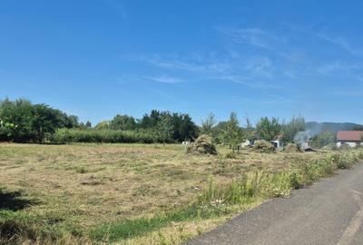 Merisor, 30 ari teren parcelabil - 9