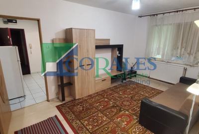 Apartament cu 2 camere nedecomandat, mobilat în Dacia - 2