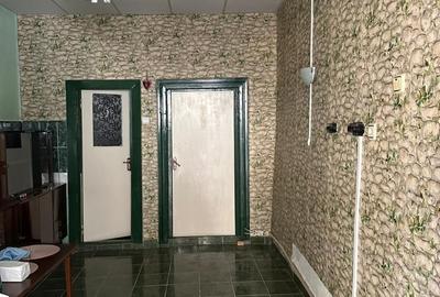 Jamu Mare, jud Timis - 5