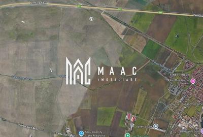 Teren Extravilan I 4200 mp I Împrejmuit I Investiție I Sibiu - 4