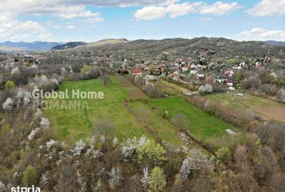Teren de 23345 mp, în Cornu - 6