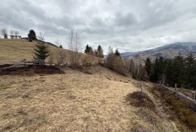 Spațiu comercial, în Albac - 6