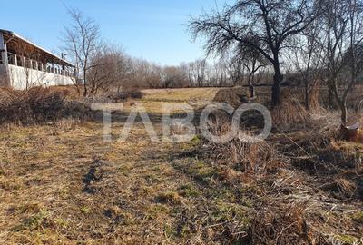 Teren intravilan 3600 mp doua fronturi stradale in Voila - 2