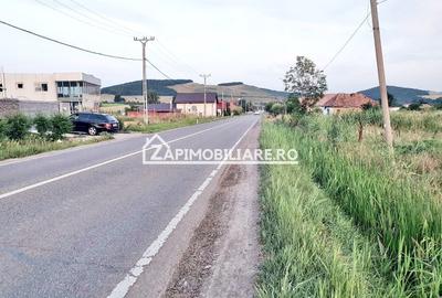 Teren 13.000 mp 25 euro mp.Ernei deschidere la drum Judetean - 4