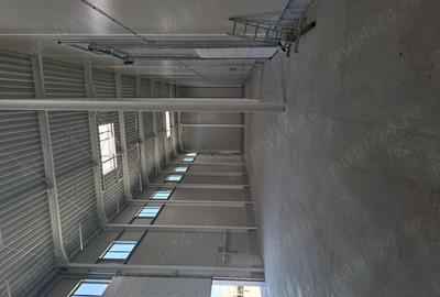 Inchiriem 560 mp hala Parc Industrial Oradea 1 Inchiriem 560 mp hala Parc Industrial Oradea 1 - 4