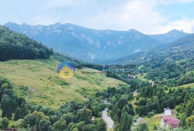 TEREN Izvoru Muntelui, langa orasul BICAZ - 6