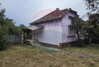 Casa si teren de 1195mp in Tinca - 3