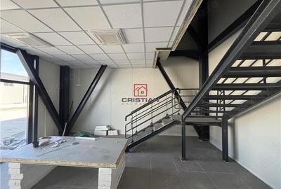 Spațiu comercial, în Theodor Pallady - 11