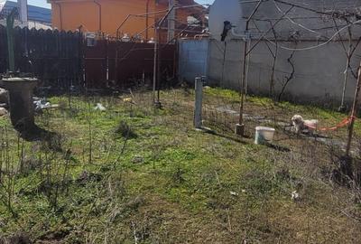 Spațiu comercial, în Bran - 2