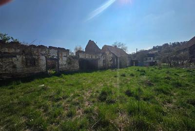Teren intravilan de 3890 mp, în Bărcut - 6