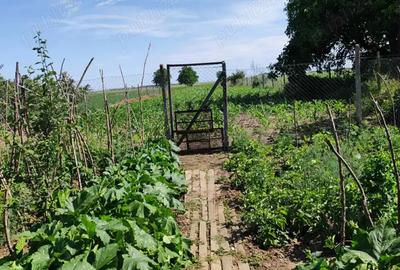 Casa, curte si teren 2780 mp - 2