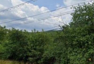 Teren de 393 mp, în Furești - 11