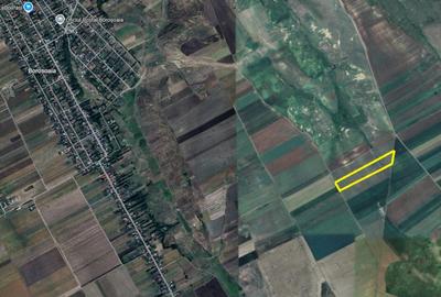 Persoana fizica - teren extravilan agricol Sipote, Jud. Iasi, 46500 mp - 3