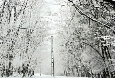 Teren de 12300 mp, în Grebănu