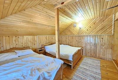 Pensiune in jud. Buzau, loc Ivanetu| Constructie lemn|Pozitionare impresionanta - 40