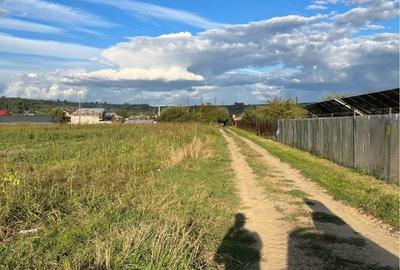 Spațiu comercial, în Proaspeți - 5