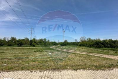 Spațiu comercial, în Dragomirești-Vale - 8