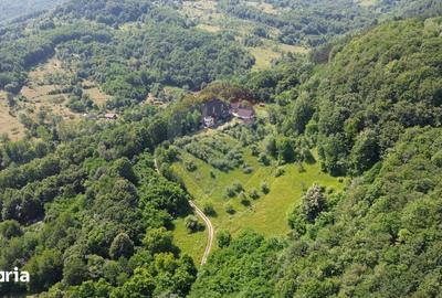 Casă cu Teren 24700 Mp în Copalnic - 8