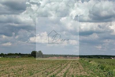 Teren intravilan Ciocanesti Cretu - 9282 mp divizat in 15 loturi - 2