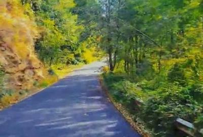 Teren de 5000 mp, în Brăești - 4