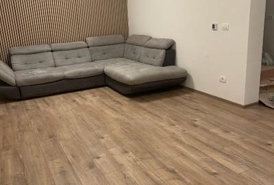 Duplex cu 5 camere cu Teren 330 Mp în Dumbrăvița - 3