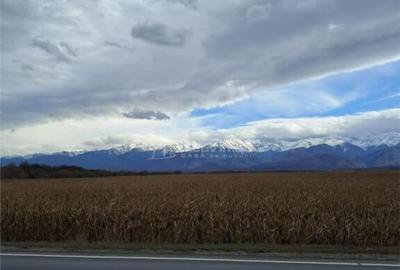 Teren 5000 mp langa E68 - 8