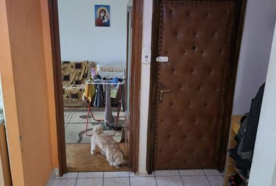 2 camere Trivale , Decomandat / finisaje clasice , Amplasament DEOSEBIT ! - 5