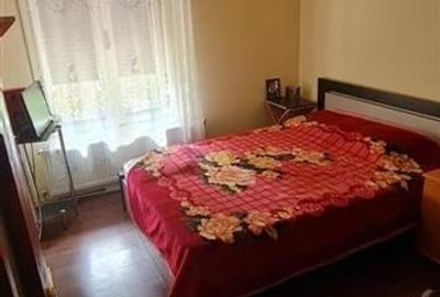 Casa 3 Camere Timisoara Cetatii - 4