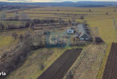 Teren de 7400 mp, în Căpușu Mare