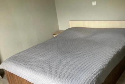 Casa de inchiriat in regim hotelier - 5