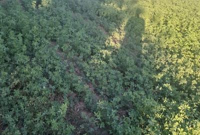 Spațiu comercial, în Central - 4