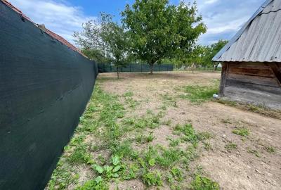 Loc casa , cu sura mare la munte in com Batrana Loc casa , cu sura mare la munte in com Batrana - 4