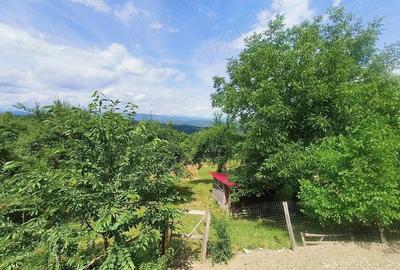 Teren 6926 mp de vanzare in Valea Danului jud Arges - 3