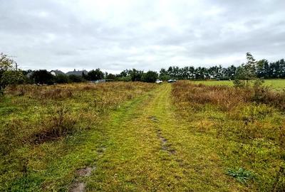 Vanzare 10.000 mp teren Liteni Suceava- la strada -potrivit proiect fonduri - 5