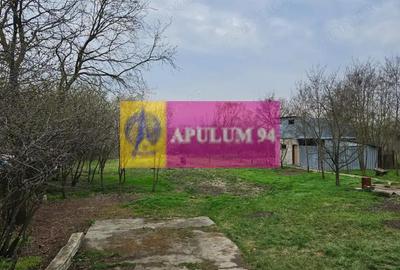 Casă cu 2 camere cu Teren 5000 Mp în Bucșani - 3