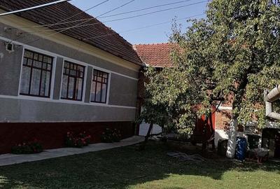 Casă cu 4 camere în Nicolae Bălcescu - 6