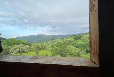 Cabana de 210mp, 2600 mp teren, in Rachitele - 6