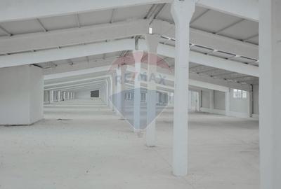 De vânzare – 2 hale industriale, 5.050 mp utili, Palota - 11