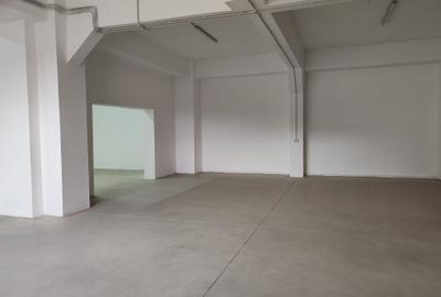 Spatiu comercial - hala - 1