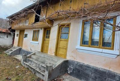 Casă cu 2 camere cu Teren 3000 Mp în Drăghici - 2